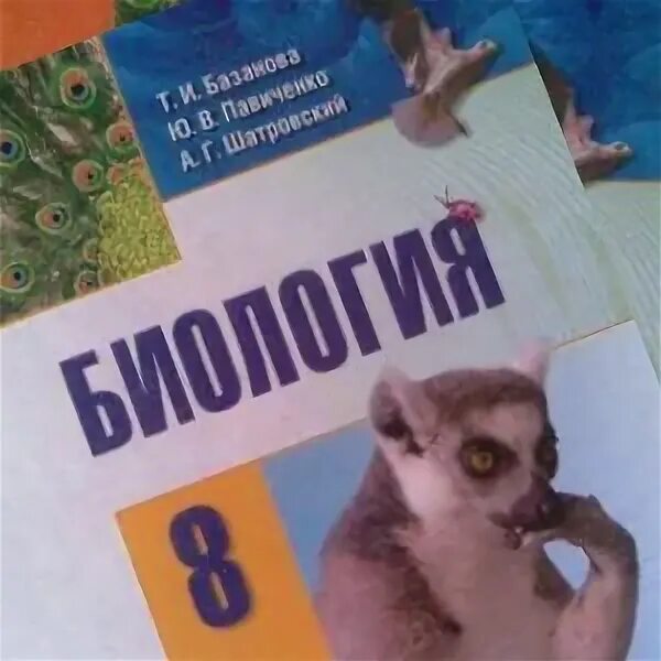 Биология 8 класс Базанова Павиченко Шатровский. Учебник по биологии 8 класс с белкой. Учебник по биологии 8 класс с дельфином. 7 Кл биология Базанова учебника. Биология 8 класс главное