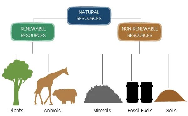 Many natural resources. Types of natural resources. Natural resources is. Shortage of natural resources. Renewable resources.