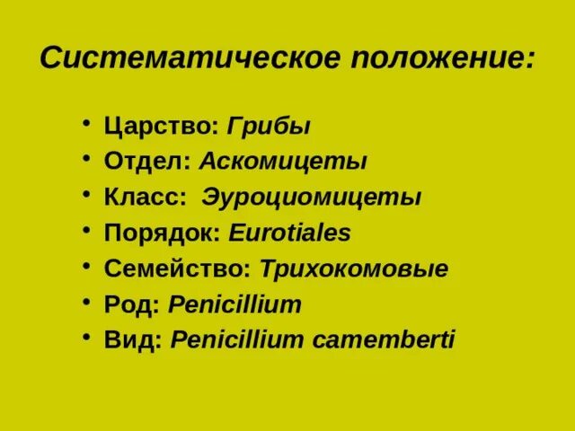 Порядок последовательности систематических групп Shtampik.com