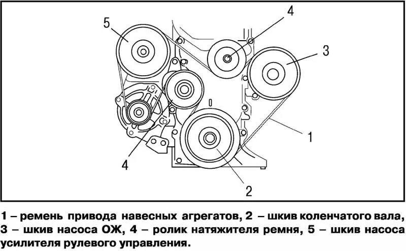 Сколько ремней в двигателе. Ремень генератора Гранд Витара 2.0. Приводной ремень Grand Vitara. Приводной ремень Suzuki Grand Vitara. Приводной ремень Гранд Витара 2.0.
