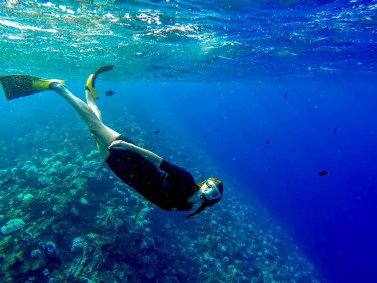Снорклинг места. Ко чанг снорклинг. Оманский залив снорклинг. Gili islands snorkeling. Баликасаг снорклинг.