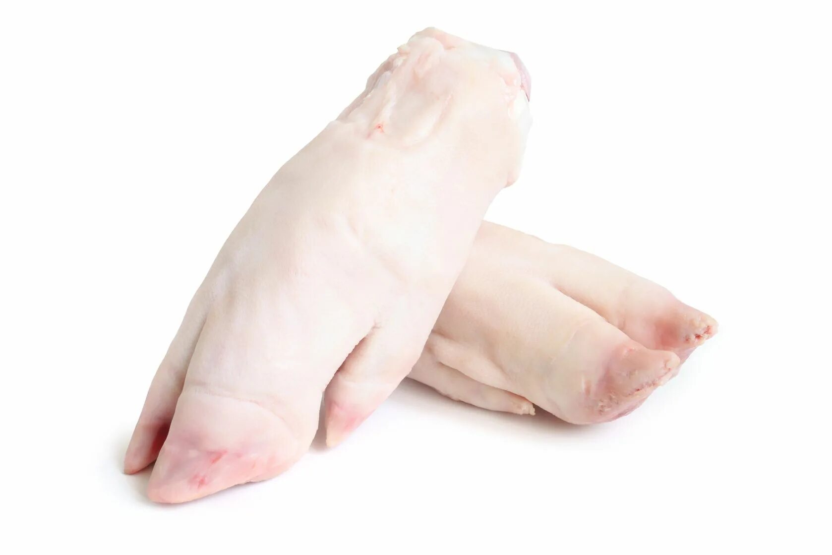 Ноги свинки. Свиные ножки на белом фоне.