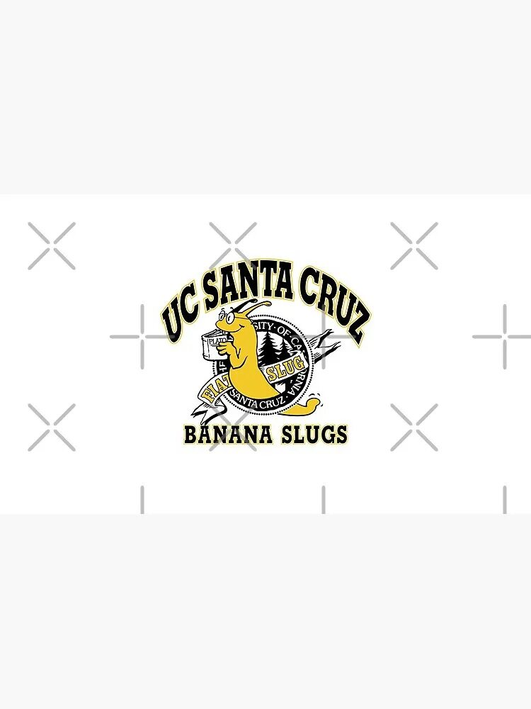 Банана круз одежда. Толстовка кусь. Us santa cruz banana slugs. Santa cruz banana slugs футболка. Банана круз.