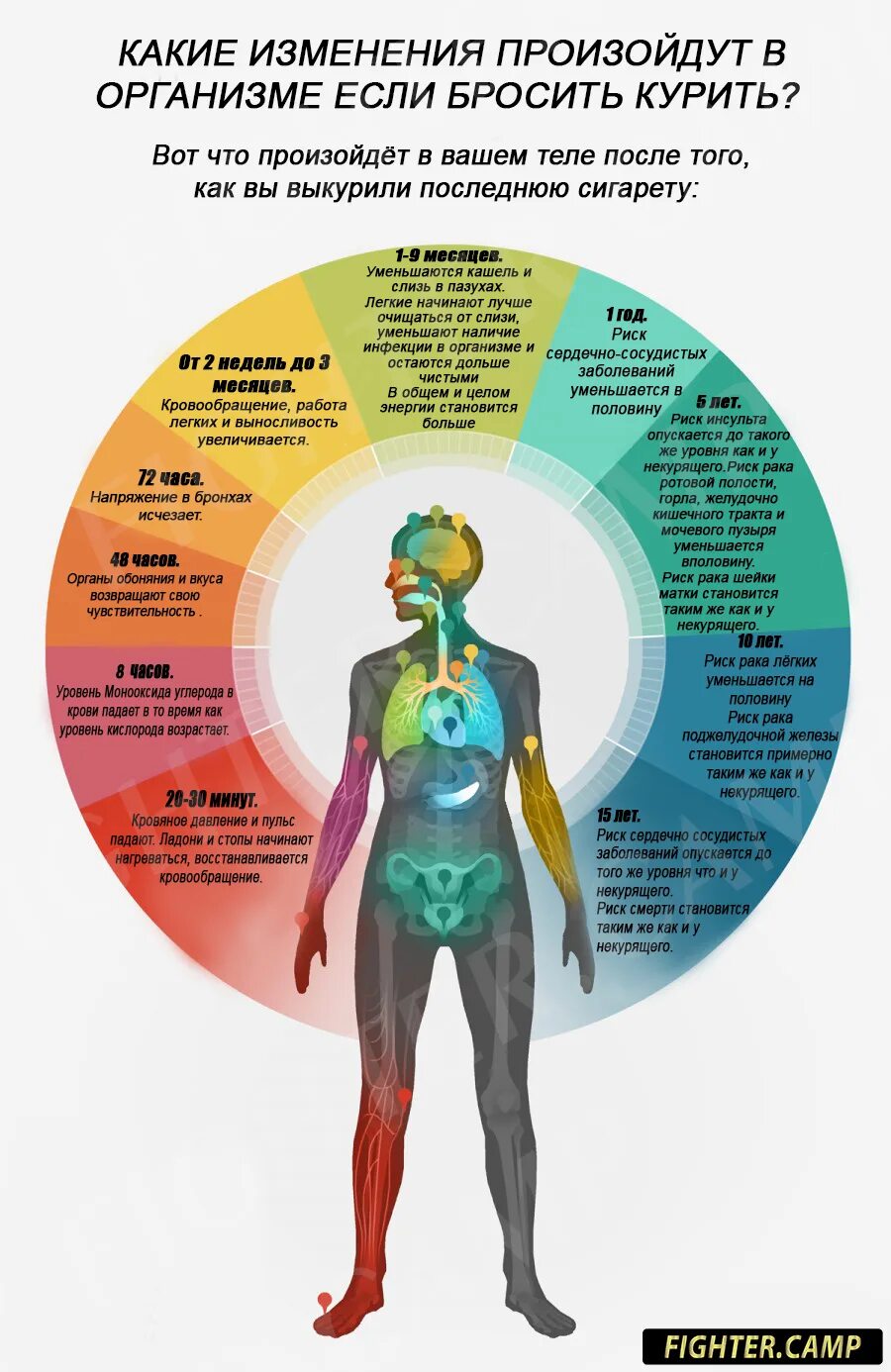 Организм восстановится быстрее после. Изменения после отказа от курения. Прочил курить изменения. Бросил курить изменения в организме. Что происходит с организмом курильщика.