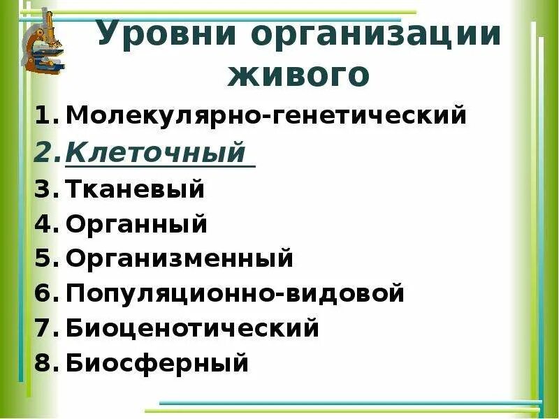 Старение на молекулярно-генетическом уровне. Процессы на молекулярно генетическом уровне. Молекулярный уровень организации жизни. Механизмы старения на молекулярном клеточном организменном. Молекулярно генетический клеточный тканевый.