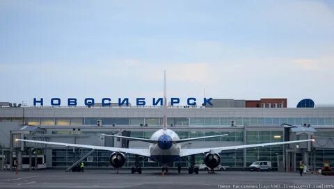 Номер телефона аэропорта новосибирска справочная