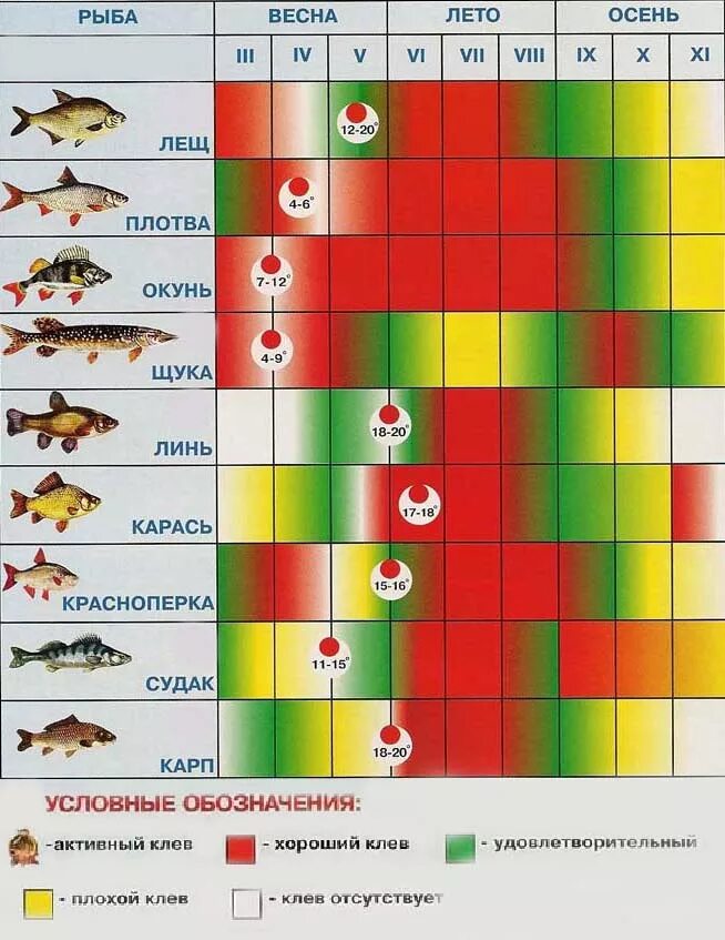 Когда начинается карась
