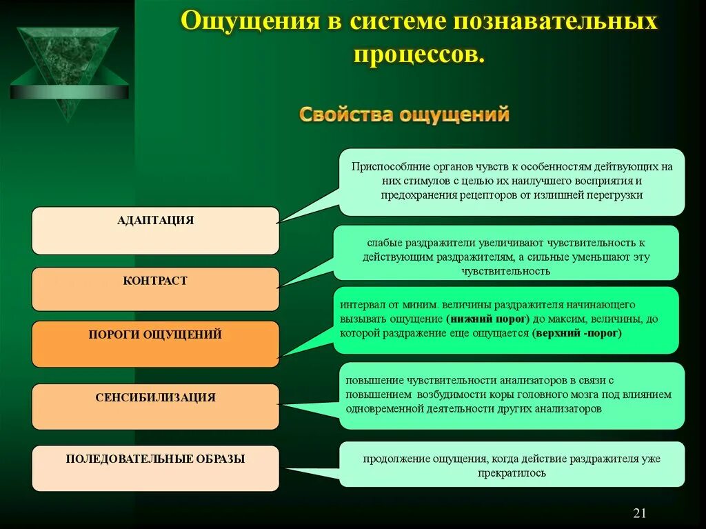 Высший процесс познавательной деятельности человека