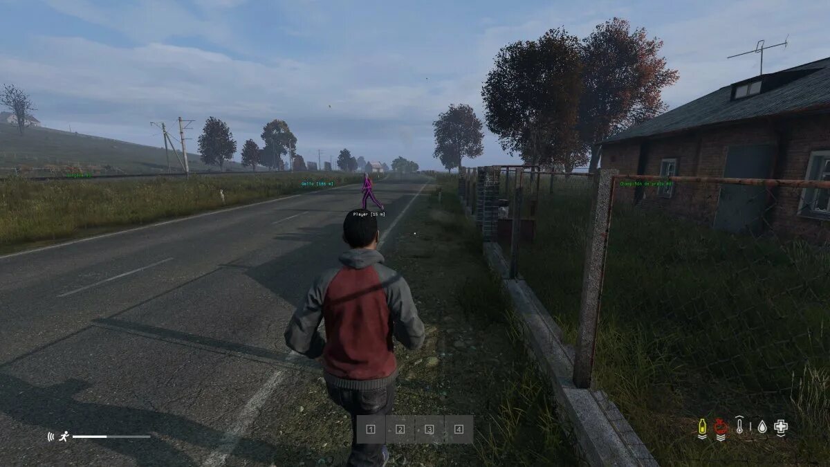 Could not find dayz executable. Dayz standalone cheat. dayz 2025. dayz интерфейс.