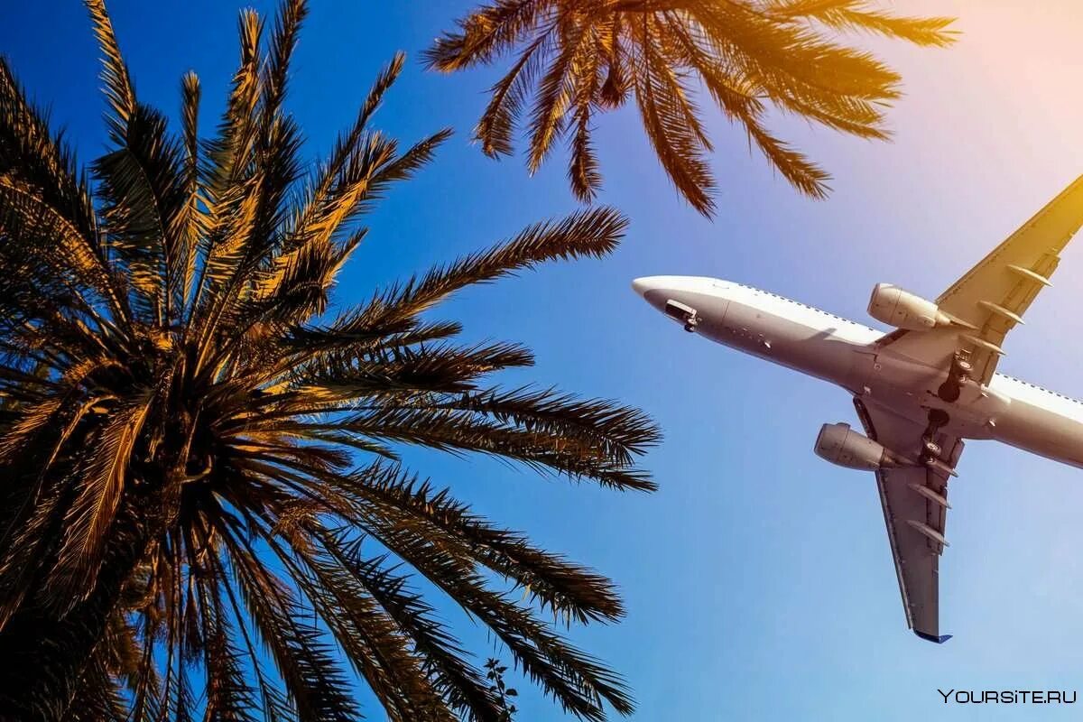Самолет над пальмами. Самолет над морем. Путешествие на самолете. Самолет море пальмы. Самолет travel
