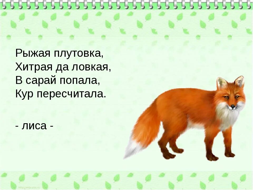 Рыжая лисица падеж. Загадка про лису. Загадка про лицо. Стих про лису для детей. Загадка про лису для детей.