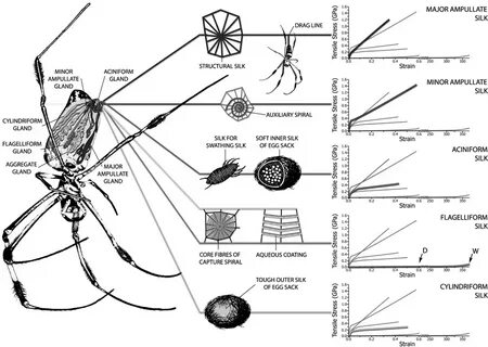 Chemspider