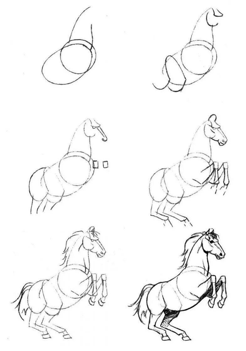 Уроки рисования лошади. Лошадь рисунок карандашом. Поэтапный рисунок коня. Лошадь поэтапно карандашом.