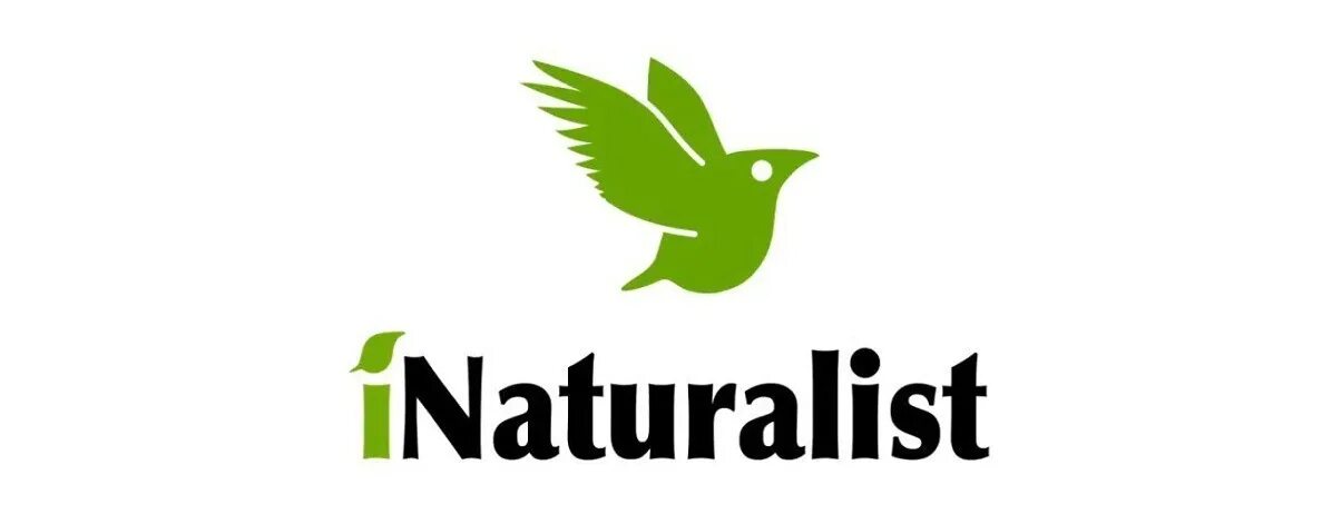 Ай натуралист. I Naturalist приложение. The Naturalist логотип. INATURALIST натуралист.