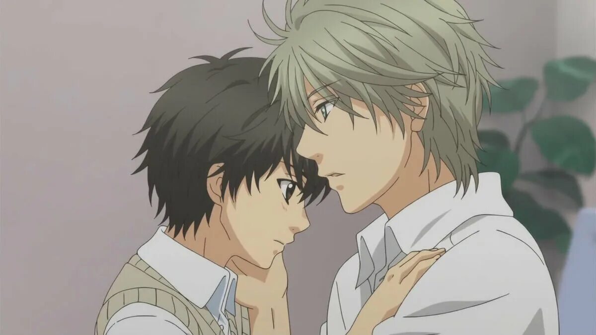 Любовники яой. Super lovers Хару и РЕН 18. Super lovers 3. Больше чем возлюбленные.