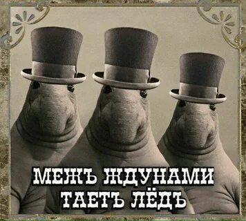 Таю потому что