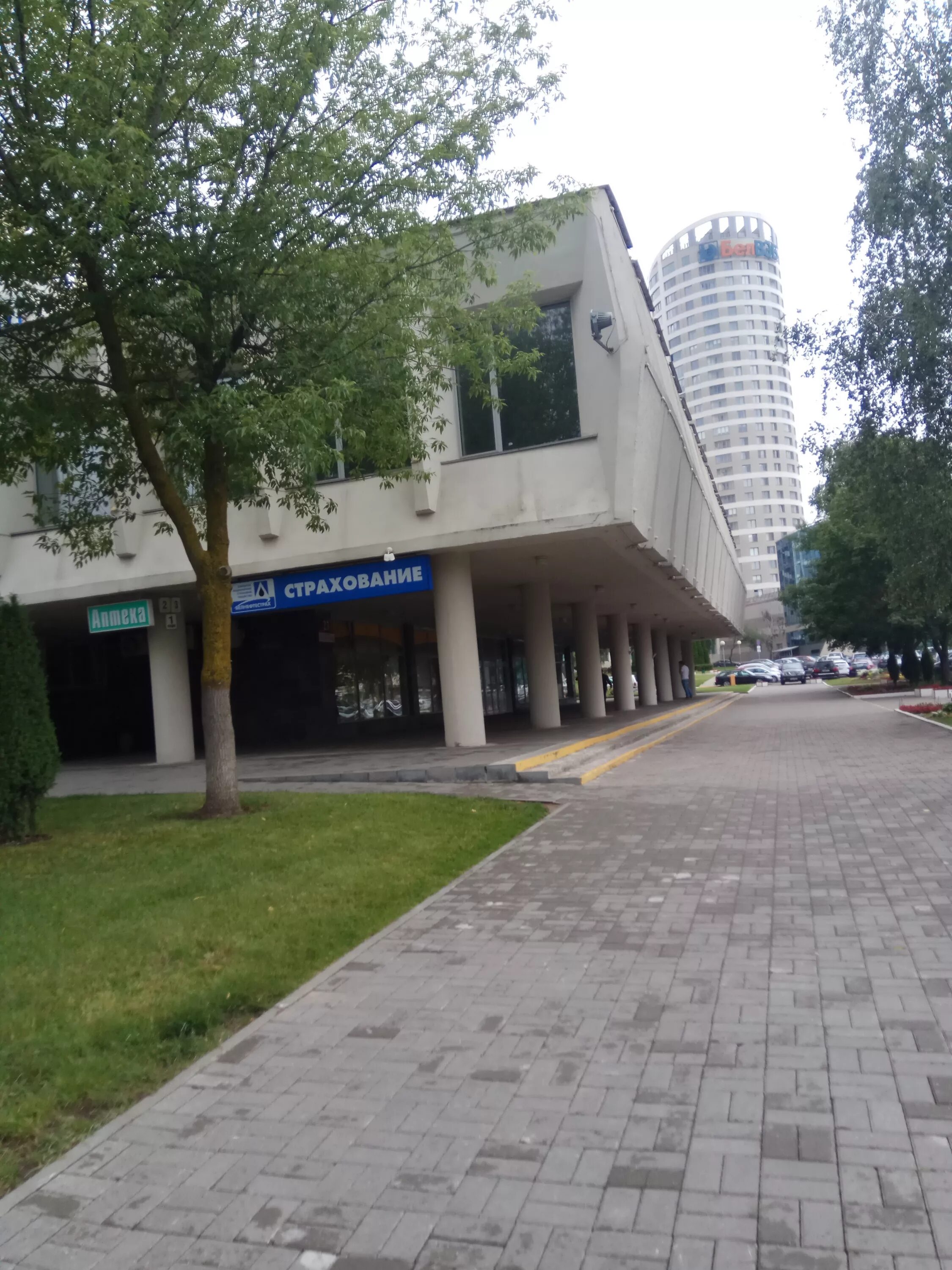 победителей 23 4