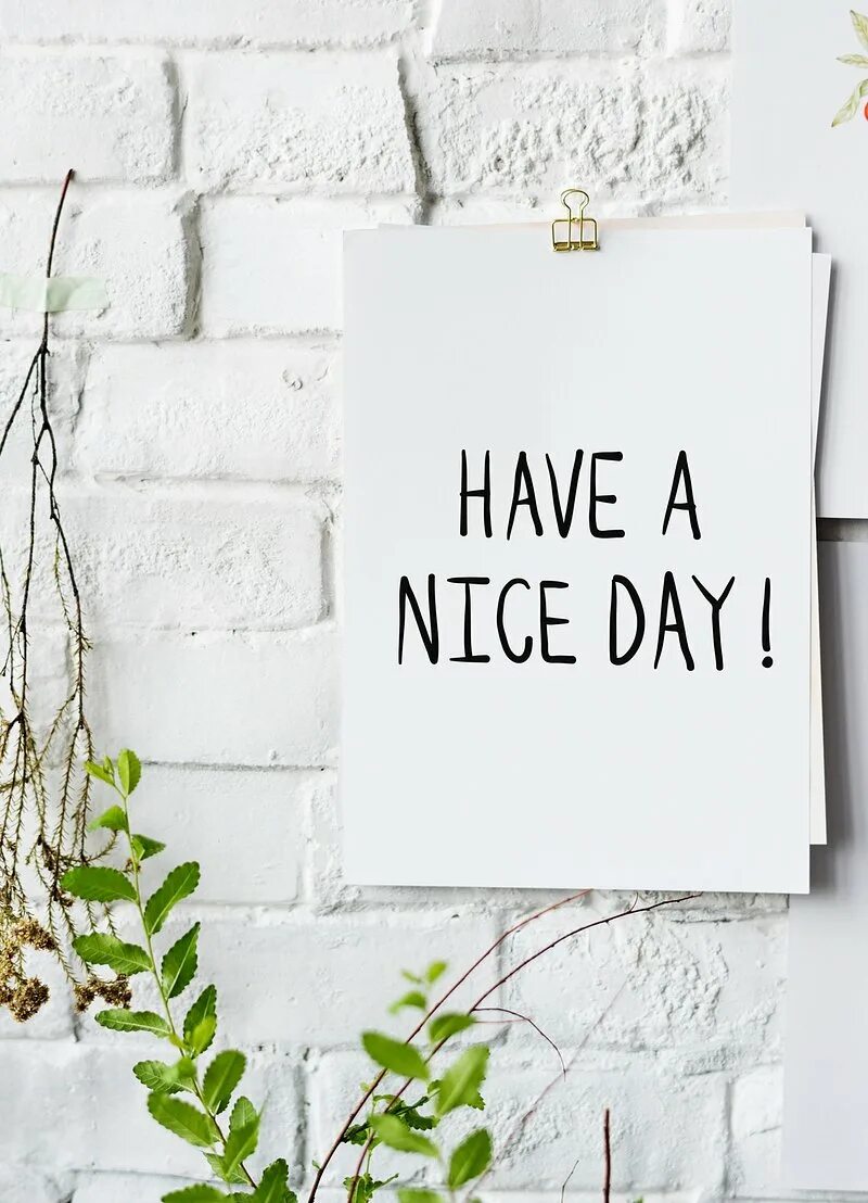 Have a nice read. Have a nice day. have a nice day картинки. have a nice day стильные картинки. открытка have a nice day.