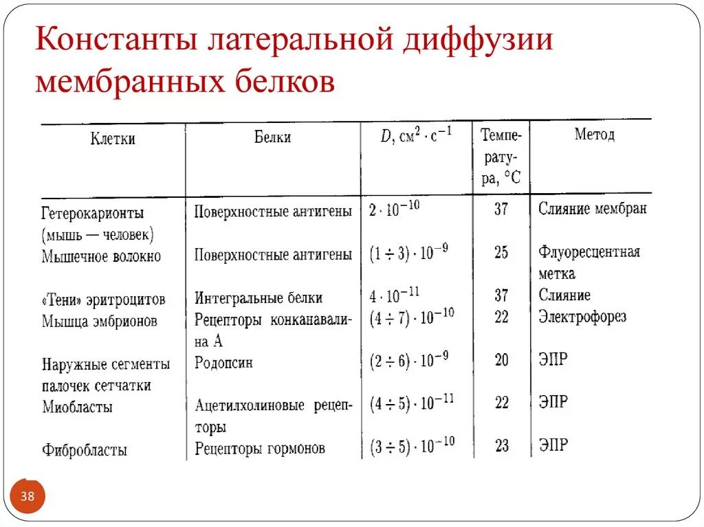 Константы цивилизации
