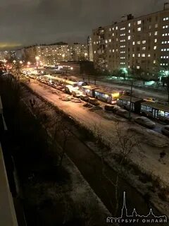 Сусанина купчино