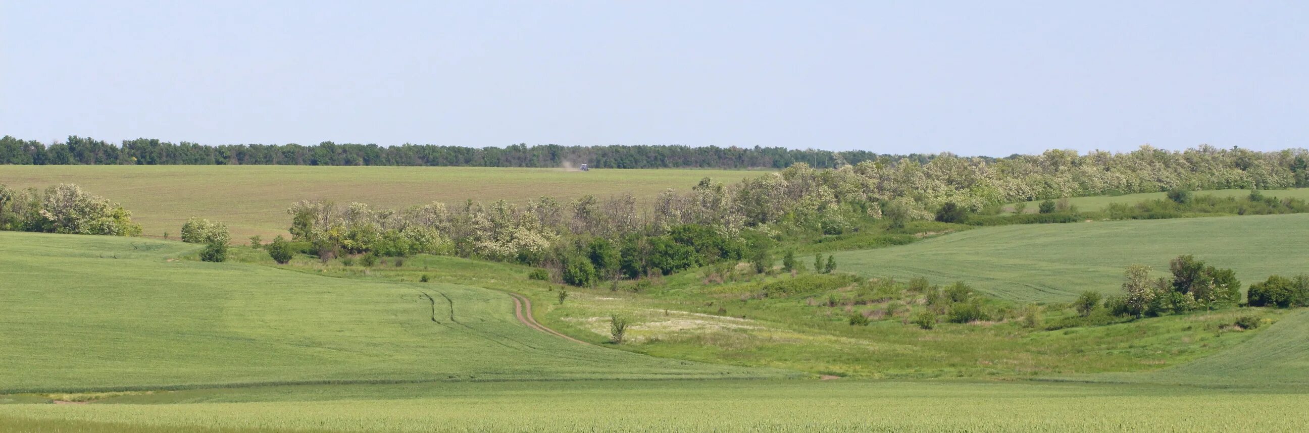 Село федоровка неклиновский район. Неклиновский район природа. Природа Неклиновского района Ростовской области. Село Троицкое Неклиновский район Ростовской области. Николаевка Неклиновский район Ростовская область природа.