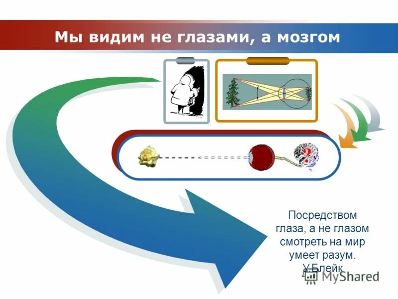 Глаза а мозг видит. Мы видим мозгом а не глазами. Видеть мозгом. Мы видим мозгом. Человек видит мозгом.