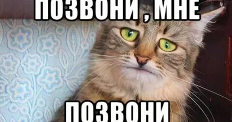 Не позвонил она не разговаривает