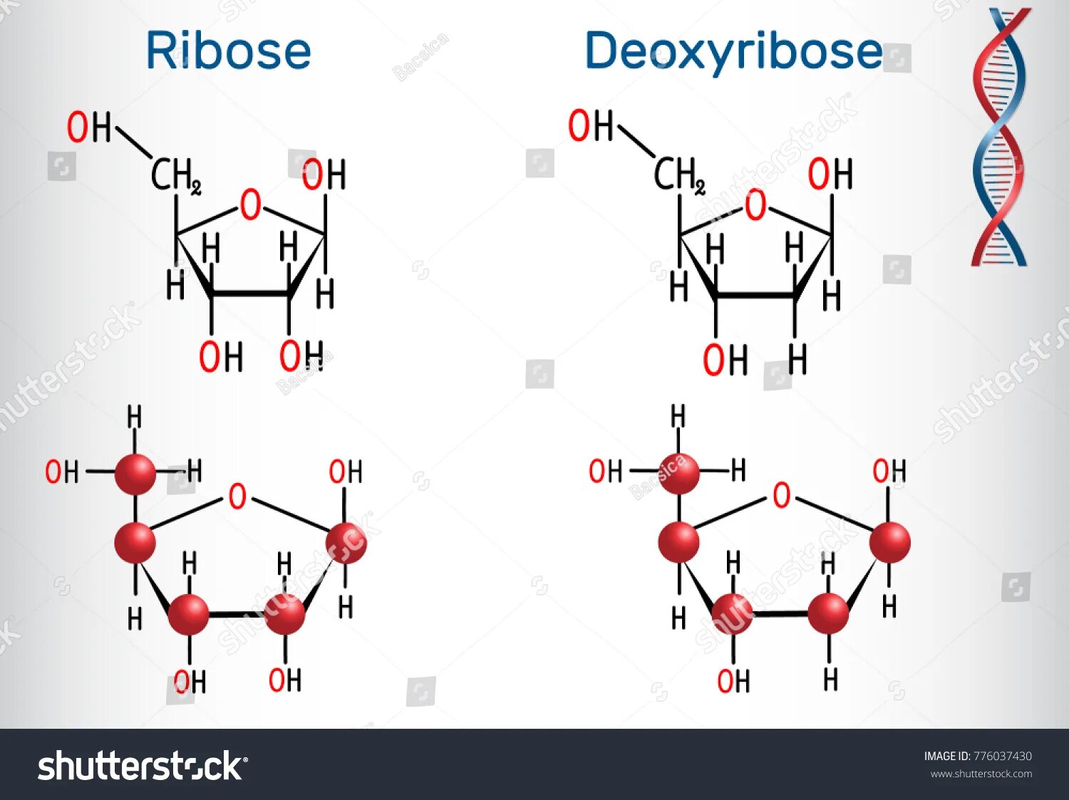 Рибоза рисунок. 2 Дезоксирибоза. Рибоза и дезоксирибоза формулы. Рибоза строение молекулы. Дезоксирибоза структурная формула.