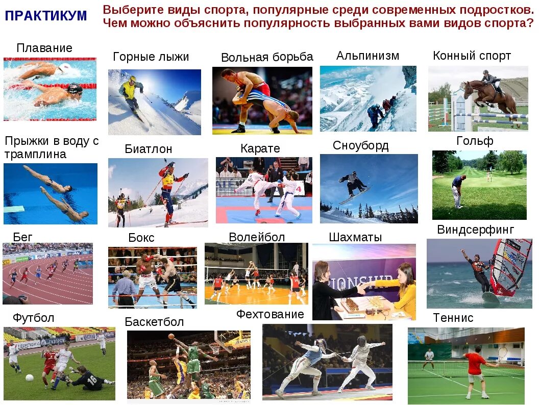 Виды спорта в россии