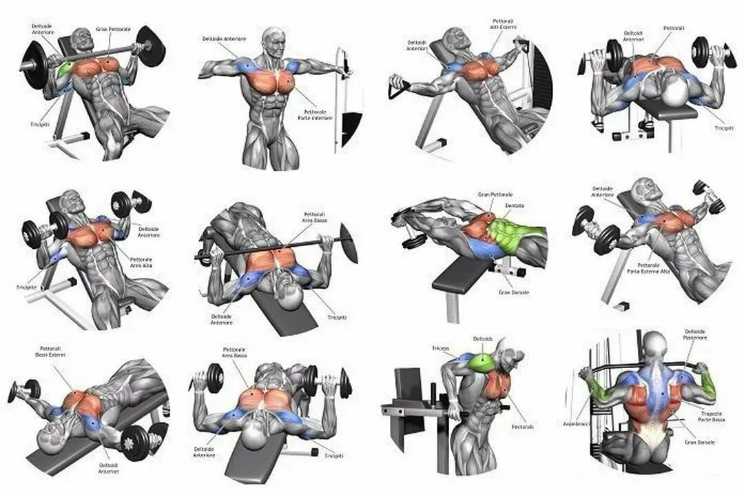 Упражнения на грудные мышцы в тренажерном зале. Лучшие упражнения на грудные мышцы в тренажерном зале. Упражнения на грудные мышцы для мужчин в тренажерном. Базовые упражнения на грудные мышцы для мужчин.
