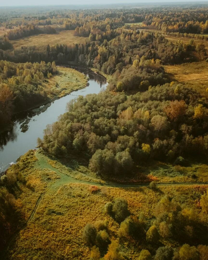 Село красное Некоузский район. Река сить деревня Лопатино Ярославская область. Красное Некоузский район Ярославская область. Лопатино Калужская область.