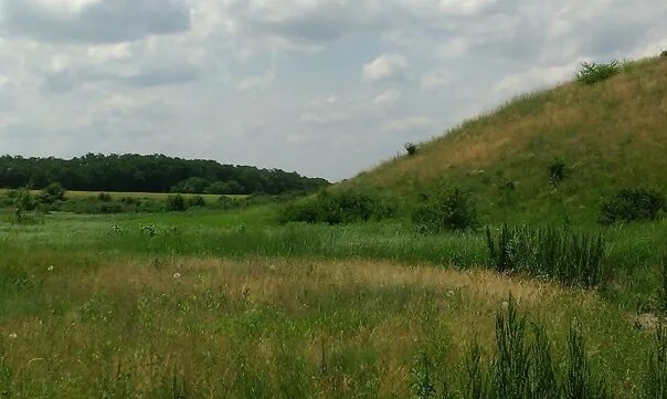 Новосибирская область погода село нагорное. Новосибирская область погода село нагорное. Новосибирская область погода село нагорное. Новосибирская область погода село нагорное. Новосибирская область погода село нагорное.