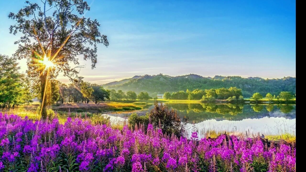 Spring views