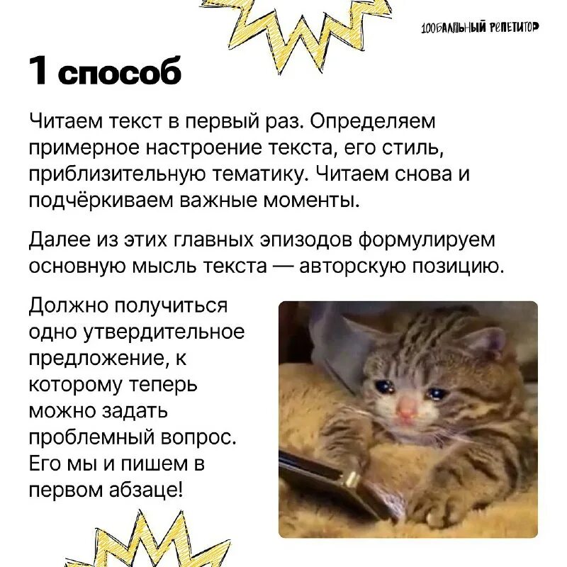 кот розыгрыш. смех для презентации. некрасова снежок. упражнения на слуховое внимание. кот пойман текст.