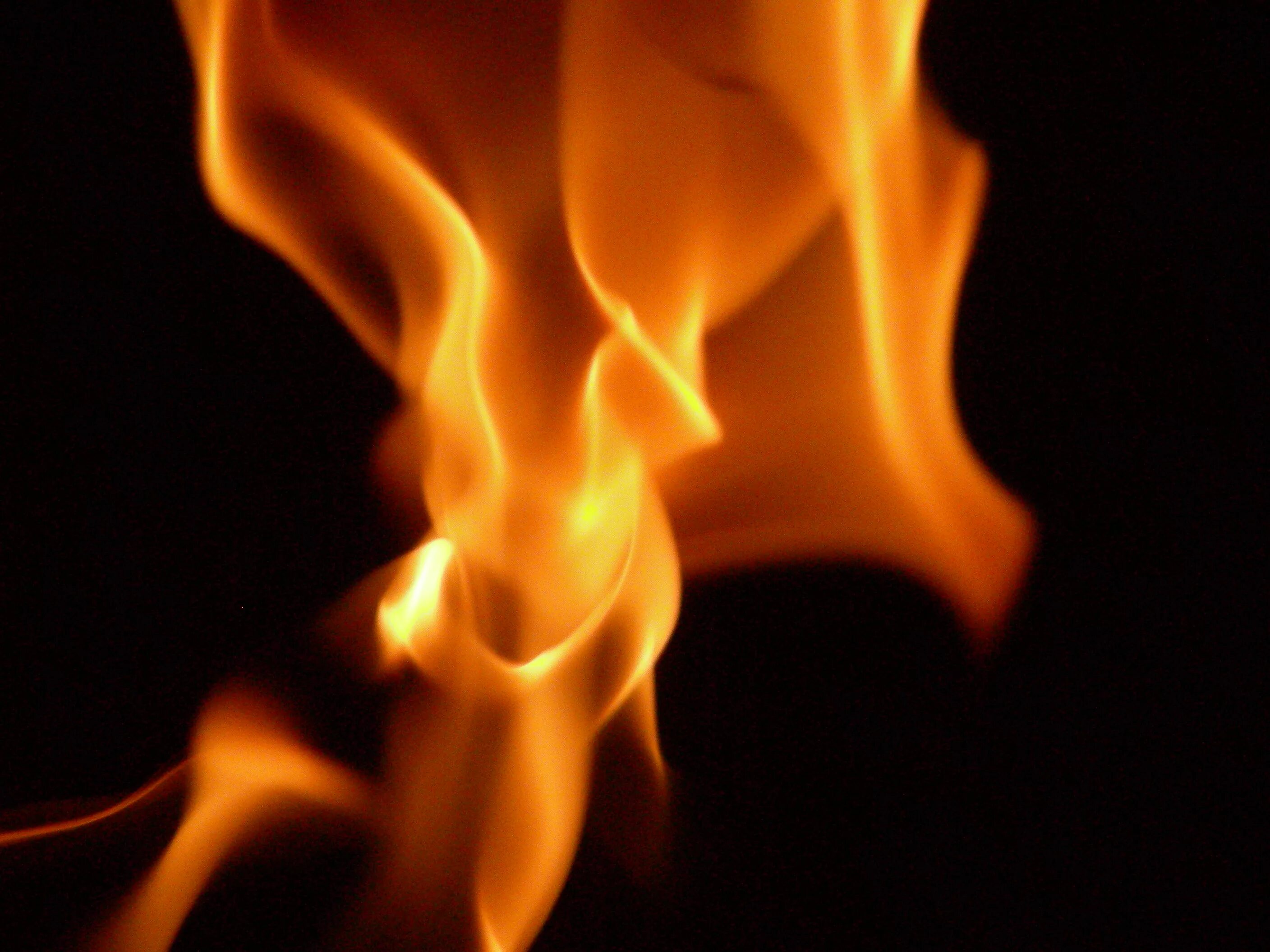 Wiki fire