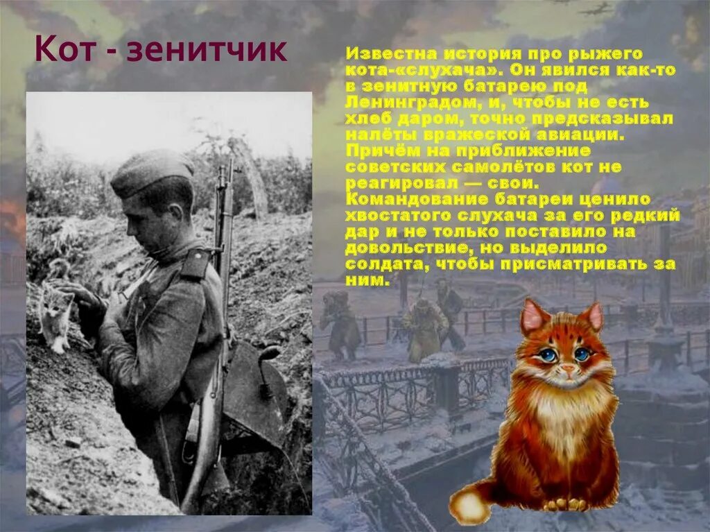 История блокадного кота. Кошки ленинграда. Блакада лененграда коты. История блокадного кота. Блокада ленинграда кошки герои.