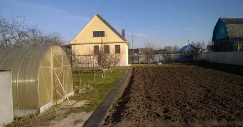 Рп лесной