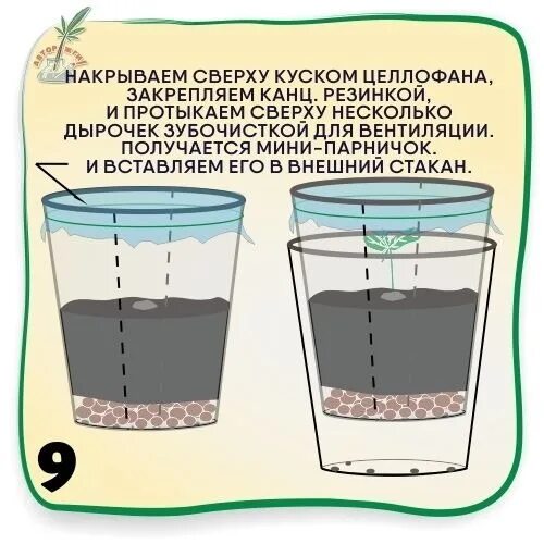 Сажаем семена огурцов на рассаду в стаканчики. Размеры стаканов для рассады. высокие стаканы для рассады огурцов. как сделать бумажный стаканчик для рассады огурцов. как сделать дырки в стаканчиках для рассады.