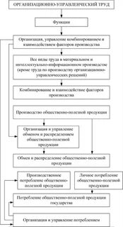 Процесс разделения управленческого труда отражают функции
