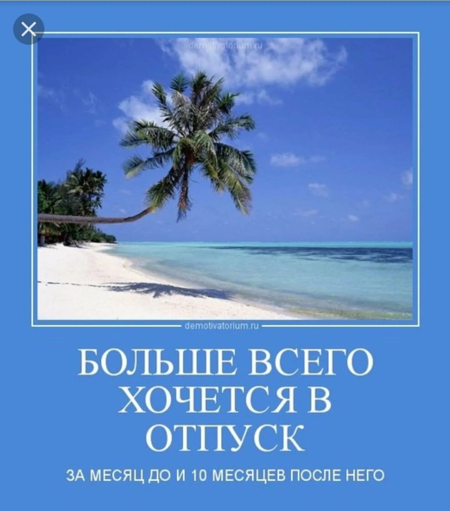 В отпуск на неделю в апреле. Отпуск картинки прикольные. Высказывания про отпуск. Смешные афоризмы про отпуск. Анекдоты про отпуск в картинках.