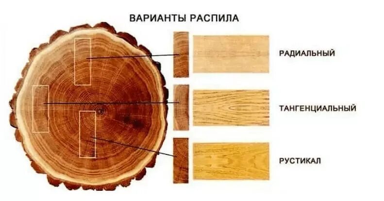 тангенциальный радиальный и поперечный срез. тангентальный срез древесины. поперечный радиальный тангентальный разрез древесины. радиальный и тангенциальный распил древесины. радиальный и тангенциальный распил древесины отличия.