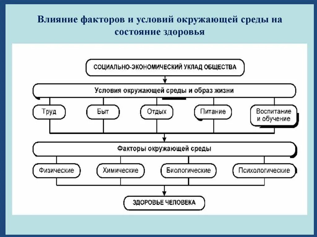 Факторы влияния человека на атмосферу. Факторы влияющие на окружающую среду. факторы воздействия на окружающую среду. биологические факторы бжд. классификация факторов окружающей среды бжд.