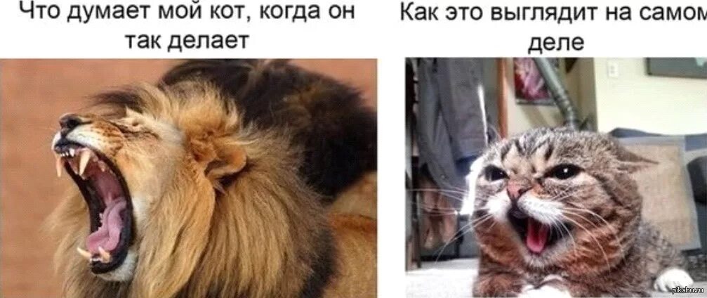 Видишь как она выглядит