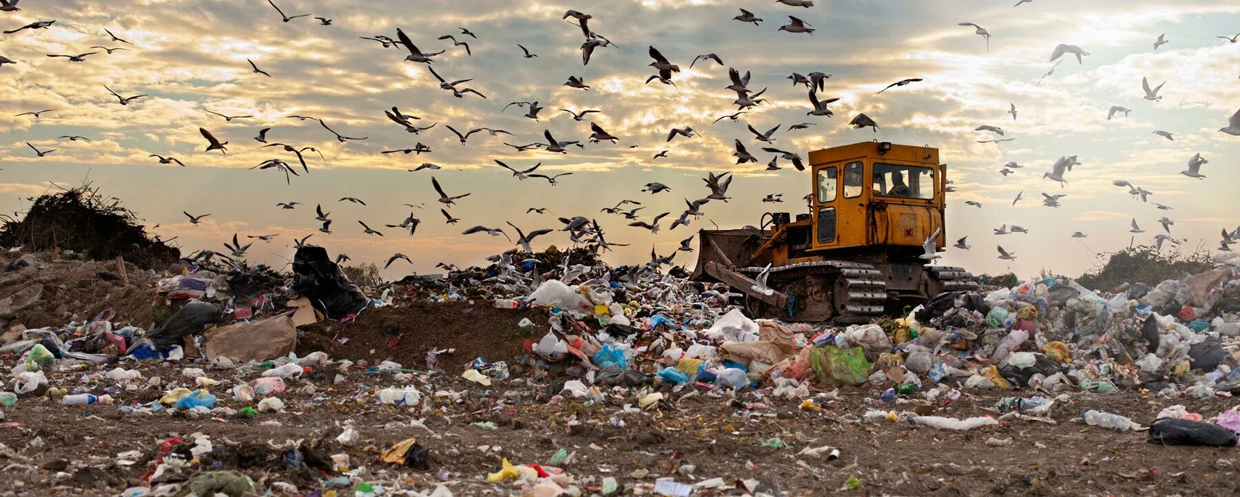 Causes of environmental problems