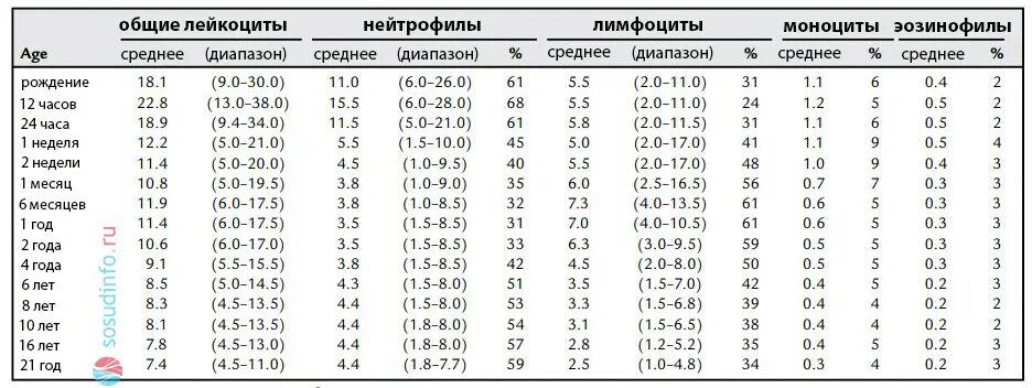 Норма лимфоцитов в крови у ребенка 2 года. Норма лимфоцитов в крови у ребенка 7 лет. Лимфоциты у детей норма по возрастам таблица. Норма лимфоцитов в крови у ребенка 6 лет. Лимфоциты у ребенка завышены