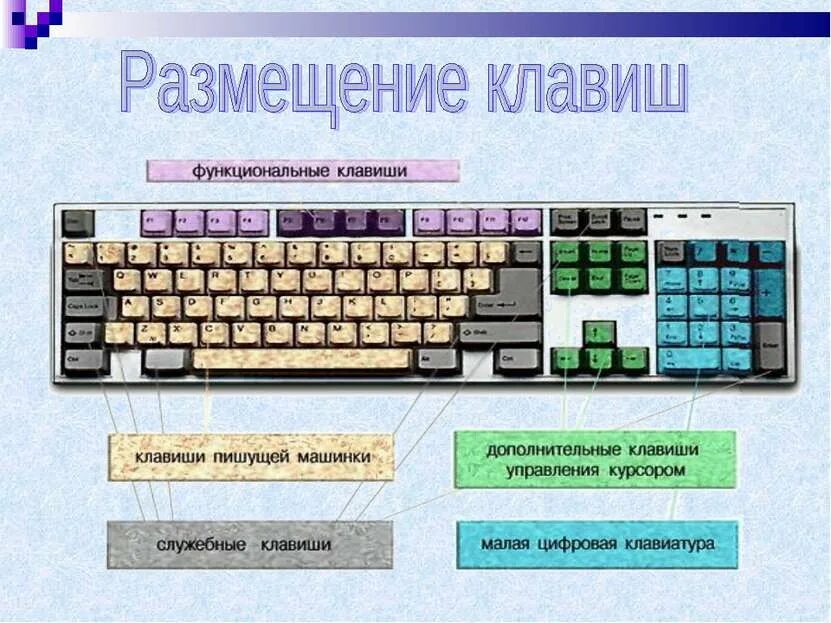 Какая клавиша относится к клавишам управления курсором. Функциональные клавиши. Функциональная клавиатура. Функциональные кнопки на клавиатуре. Функциональные клавиши на клавиатуре 5 класс Информатика.