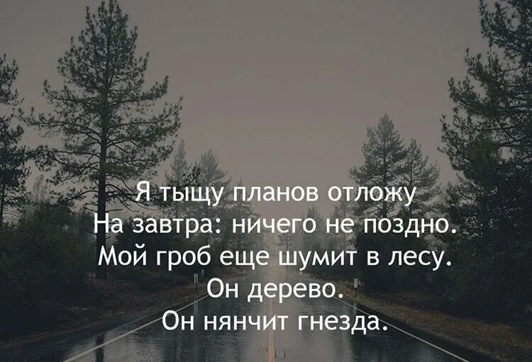 Мой гроб еще шумит в лесу. Я тыщу планов отложу. Мой гроб ещё. Я тыщу планов отложу на завтра ничего не. Я тысячу слов готов