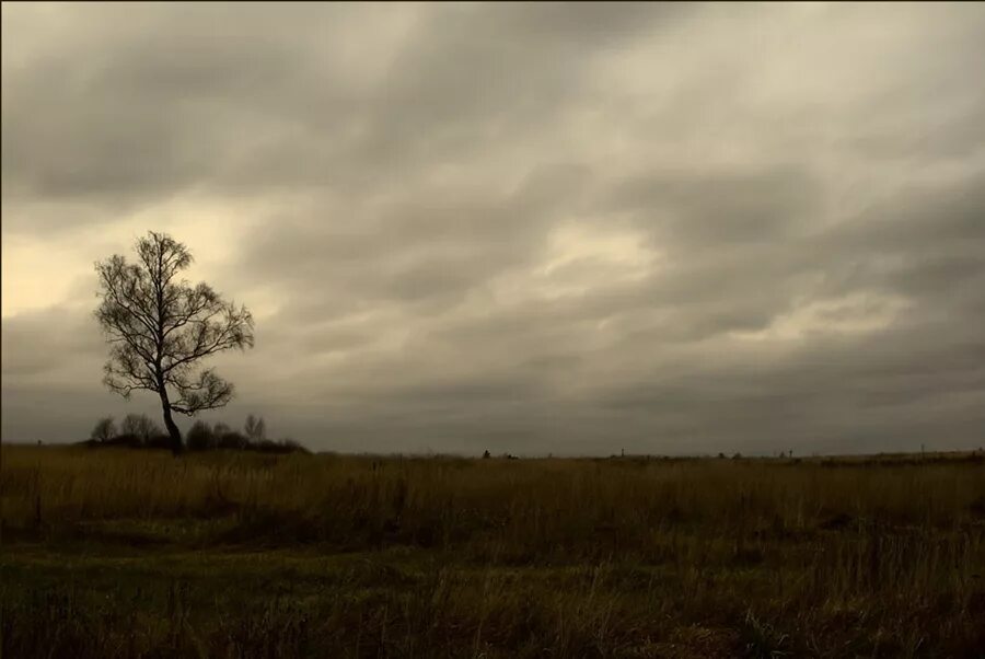 Серое небо осени. Пасмурная степь. Пасмурное небо осенью. Осень серое небо. Серое небо осенью.