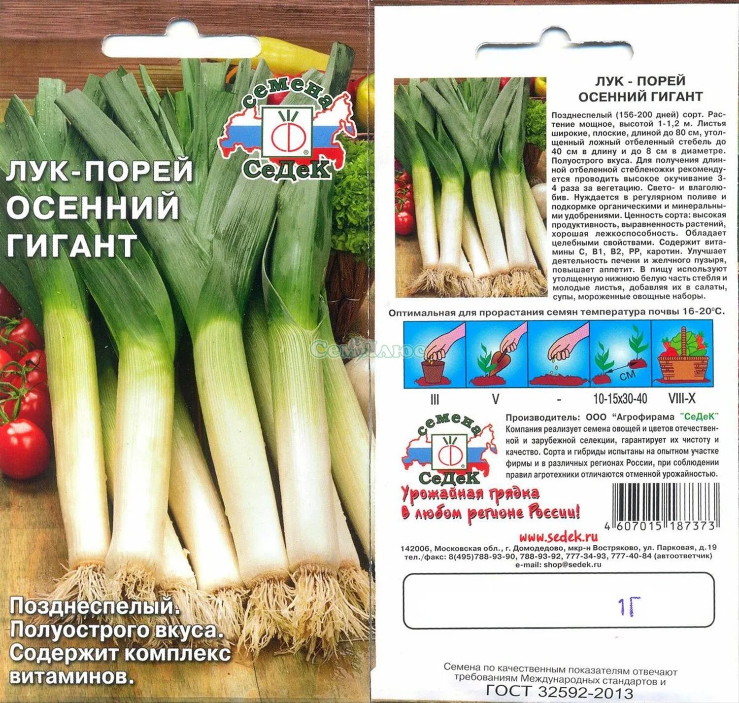 Лук репчатый сибирский великан. Лук порей сибирский гигант. Лук штутгартер ризен. Лук сибирский великан f1. Лук штутгартер ризен описание сорта.