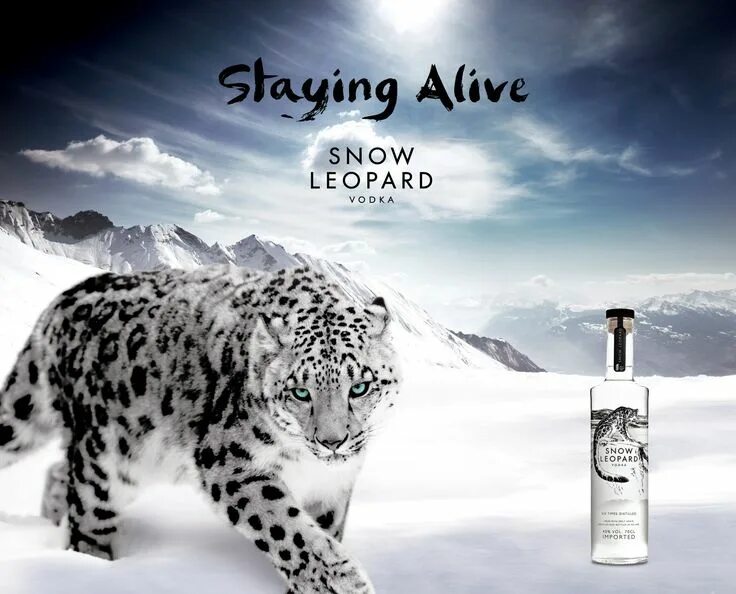 Snow leopard кондиционер. Mac os. мак ос снежный леопард. Snow leopard кондиционер. North edge snow leopard.